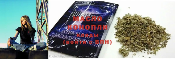 хмурый Аркадак