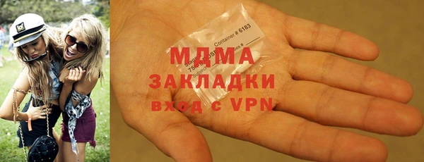 хмурый Аркадак