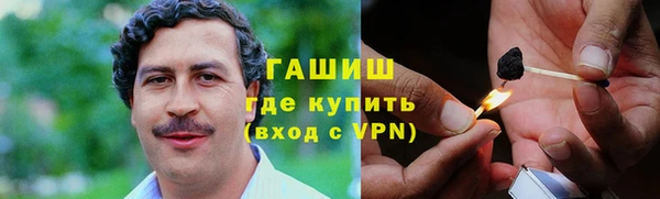 хмурый Аркадак