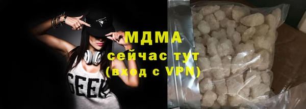 хмурый Аркадак