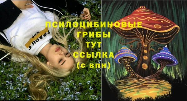 хмурый Аркадак