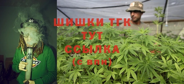 хмурый Аркадак