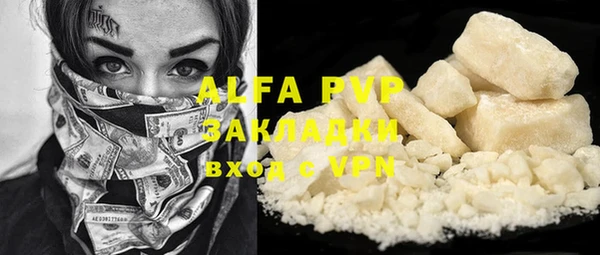 хмурый Аркадак