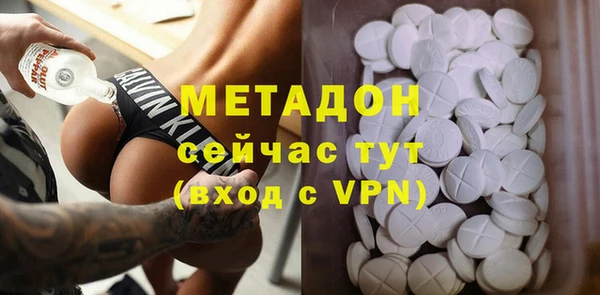 хмурый Аркадак