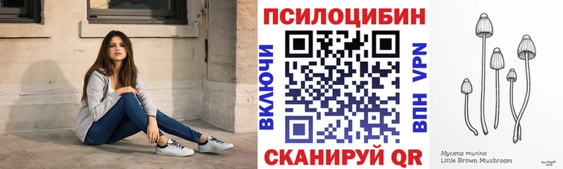 Псилоцибиновые грибы Magic Shrooms Балтийск